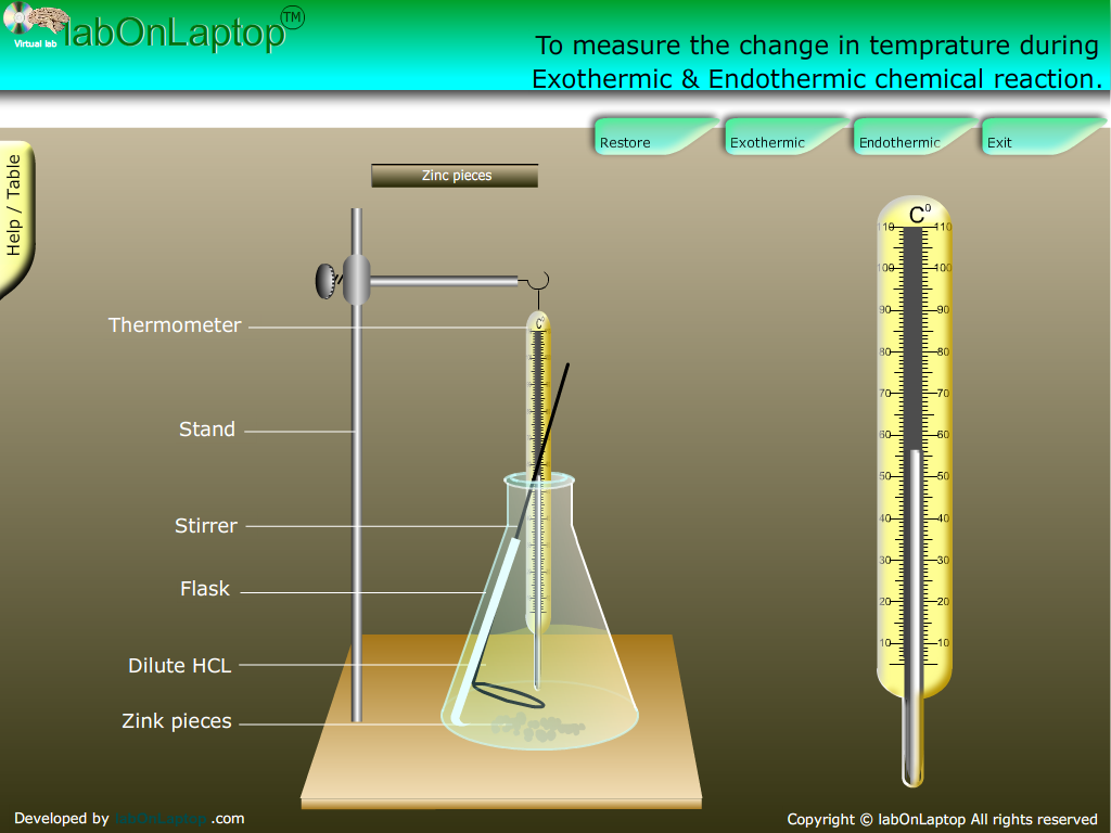 Learn Exothermic-Endothermic chemical reactions | labOnLaptop : Store